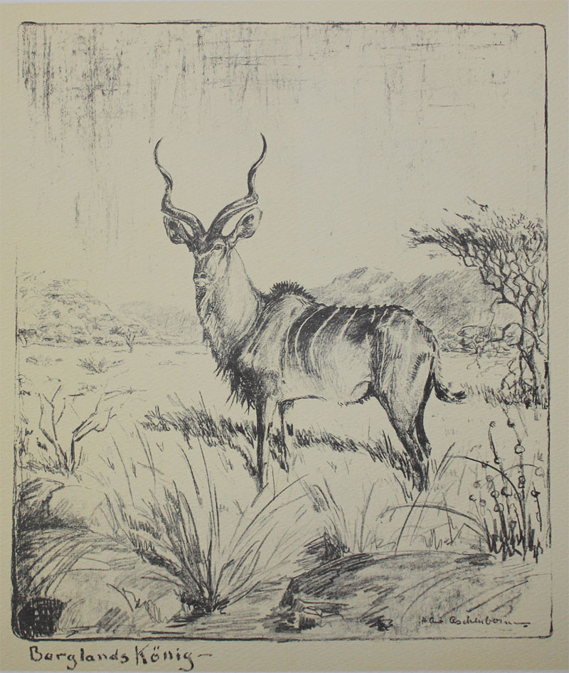 Fenster schliessen durch Klick auf's Bild!