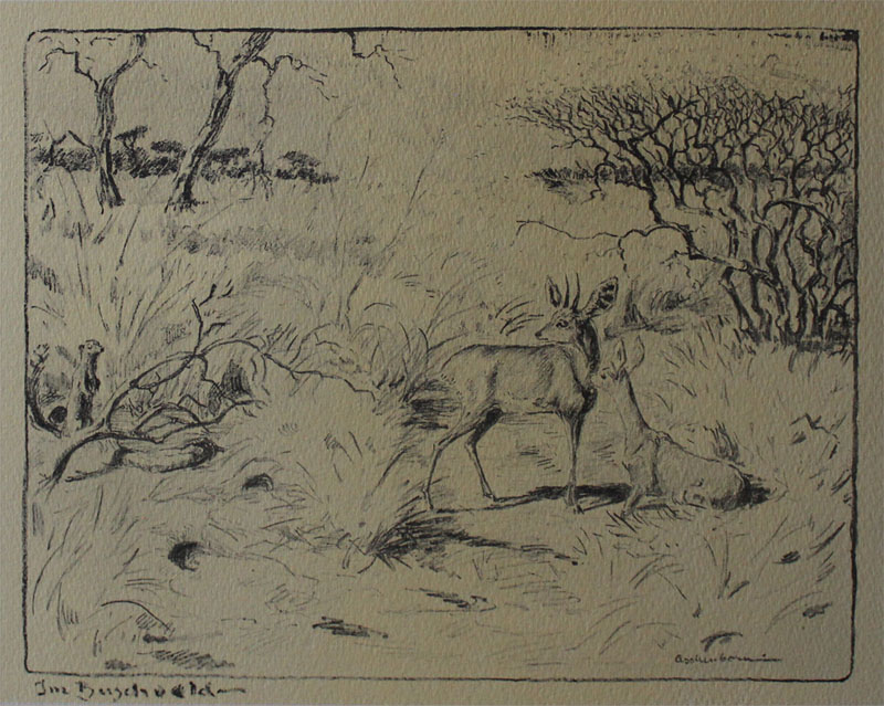 Fenster schliessen durch Klick auf's Bild!