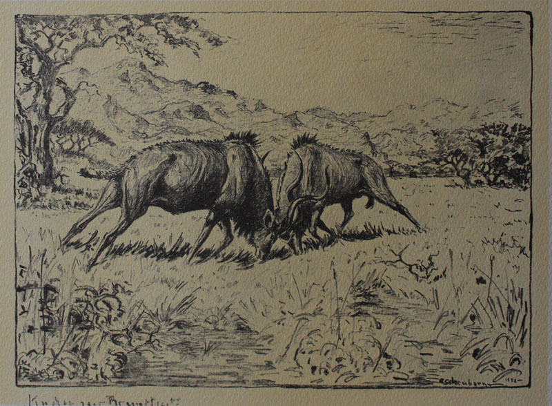 Fenster schliessen durch Klick auf's Bild!