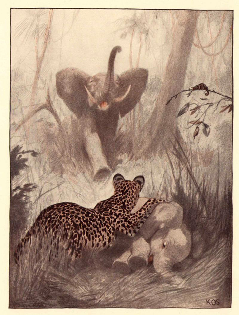 Fenster schliessen durch Klick auf's Bild!