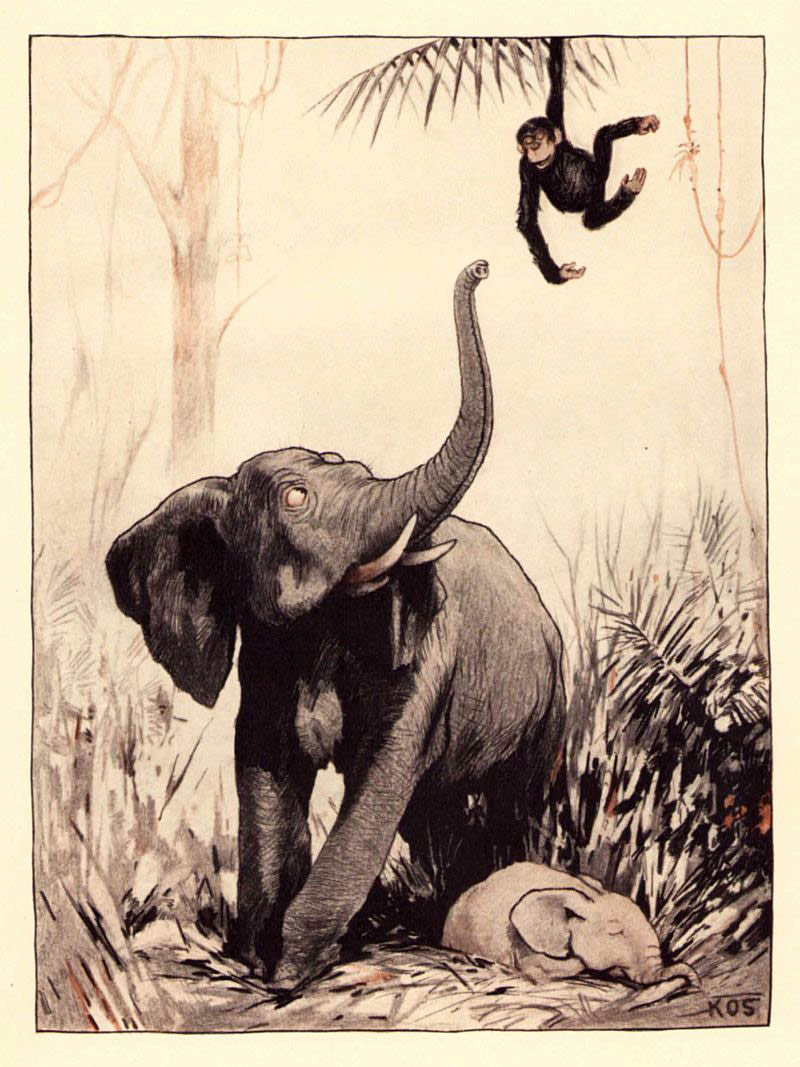 Fenster schliessen durch Klick auf's Bild!