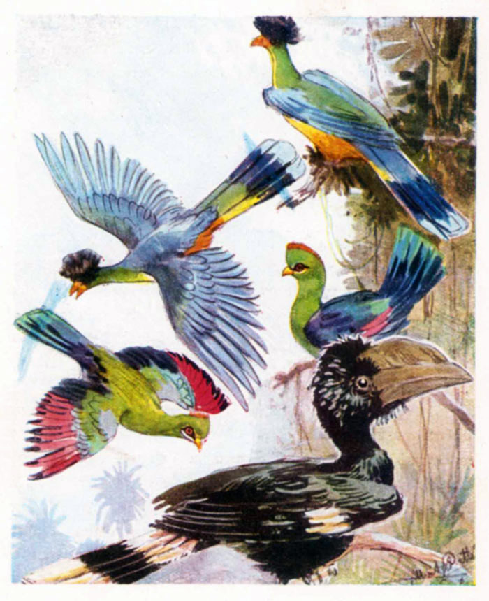 Fenster schliessen durch Klick auf's Bild!