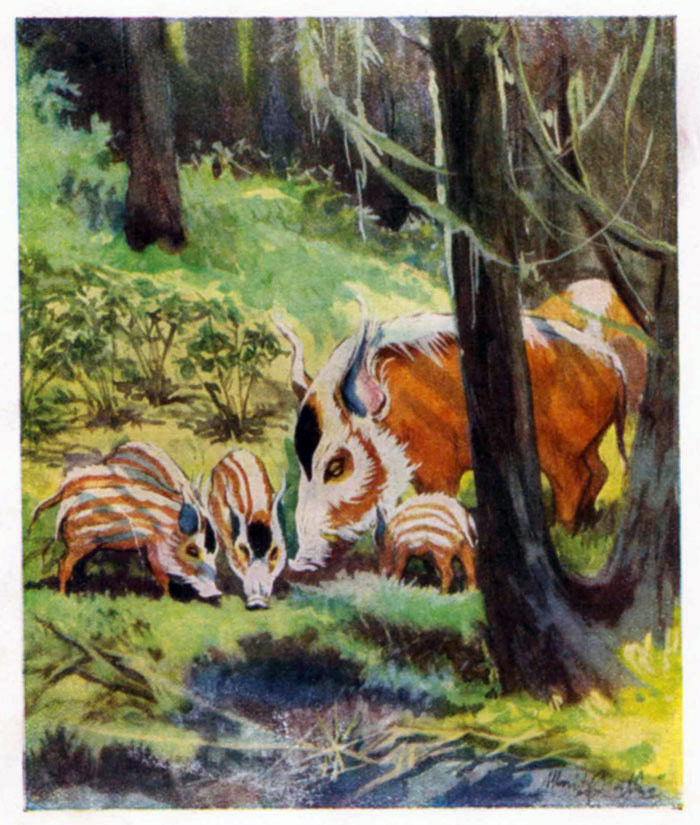 Fenster schliessen durch Klick auf's Bild!