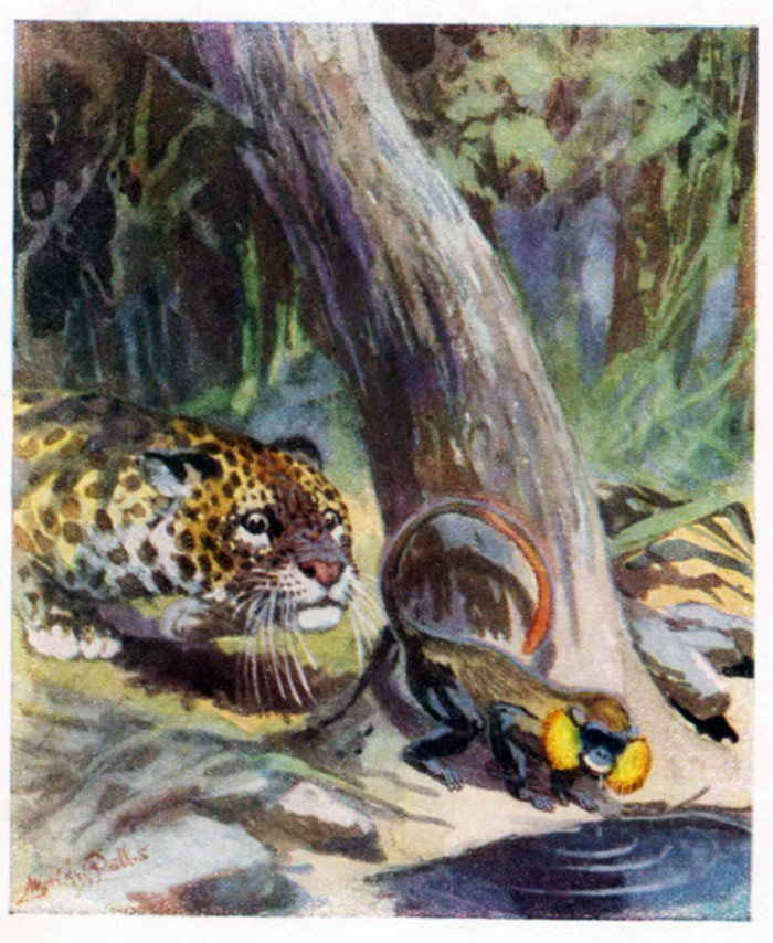 Fenster schliessen durch Klick auf's Bild!