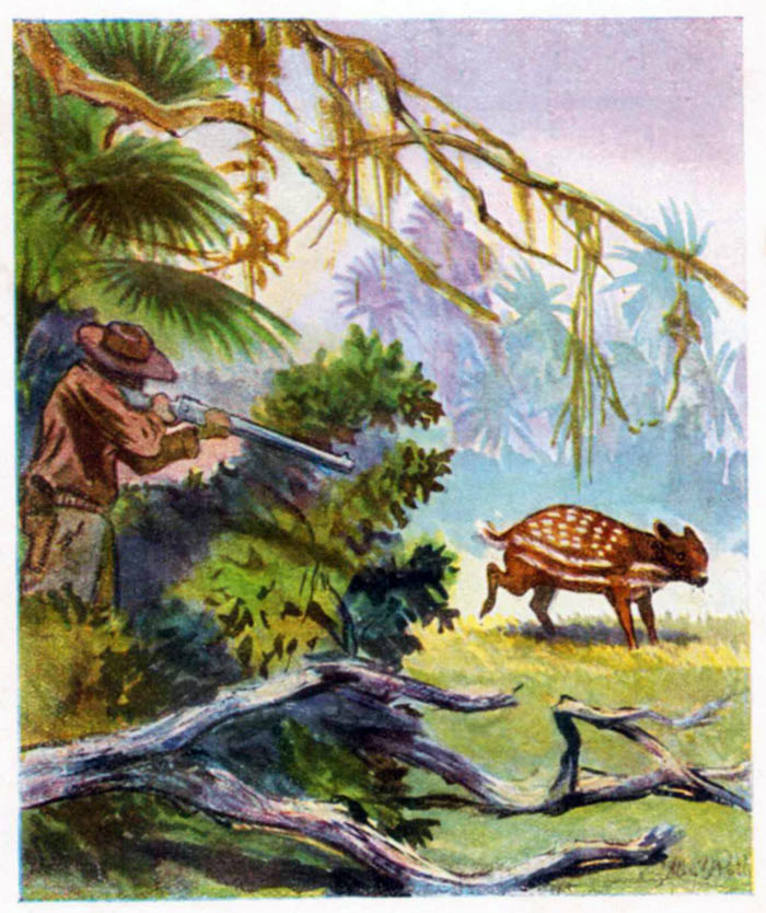 Fenster schliessen durch Klick auf's Bild!