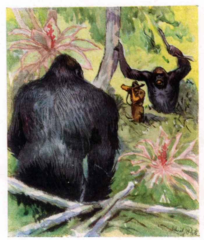 Fenster schliessen durch Klick auf's Bild!