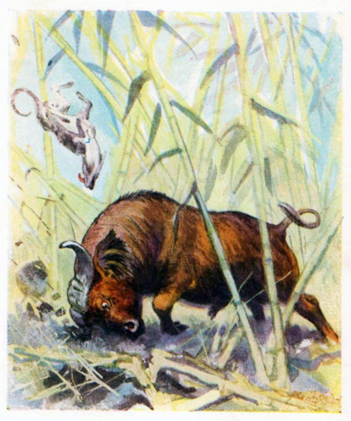 Fenster schliessen durch Klick auf's Bild!