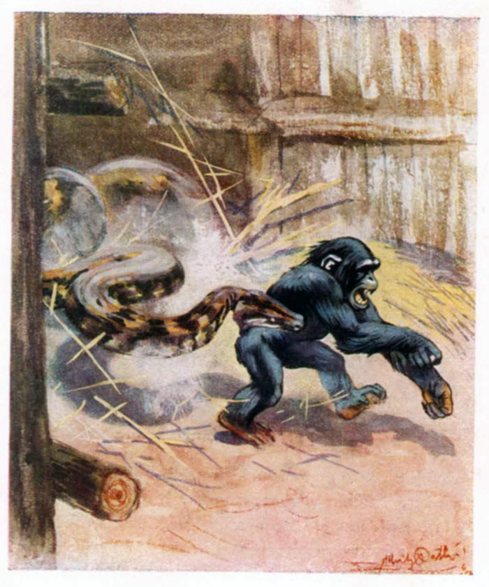 Fenster schliessen durch Klick auf's Bild!