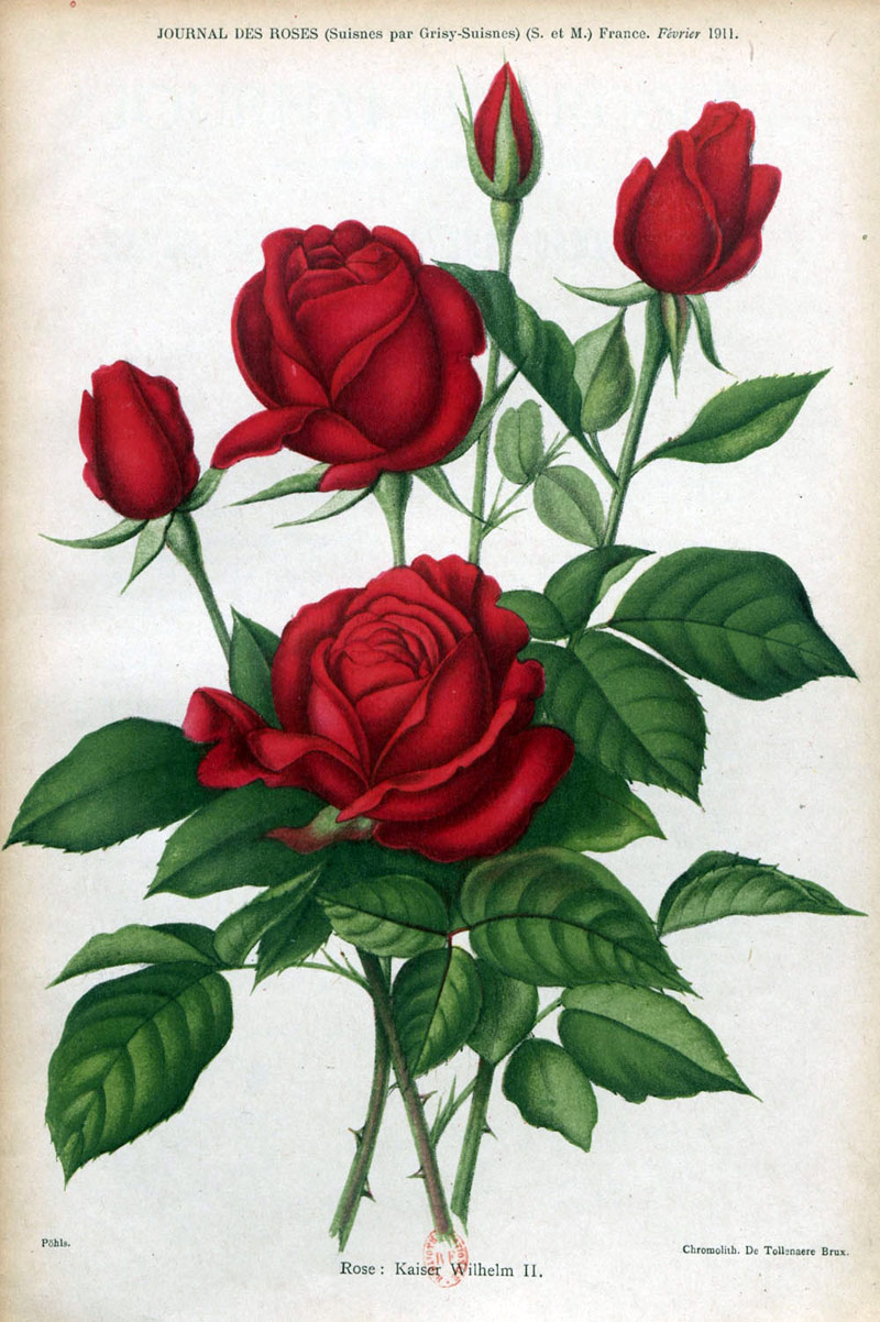 Fenster schliessen durch Klick auf's Bild!